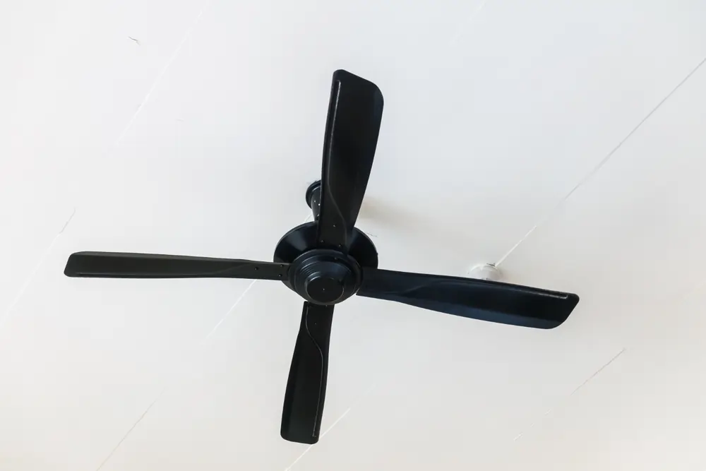 outdoor ceiling fan