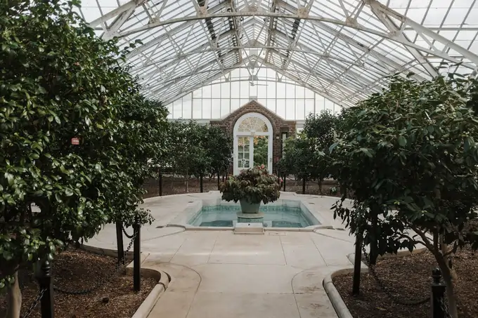 salt water pool care